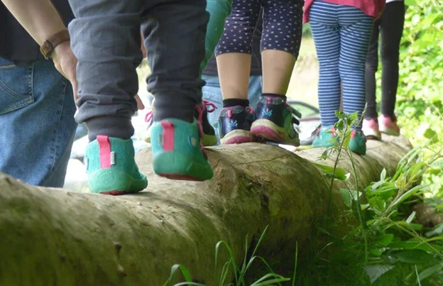 FFZ goes Waldschule Modexen: Vater-Kind-Abenteuer-Nachmittag im Wald (Für Kinder von 5 bis 8 Jahre)